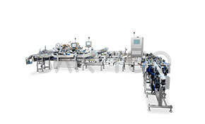 西林瓶凍干貼標機分托入托系統(tǒng)