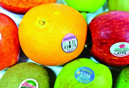 一款高速安全可靠的水果貼標(biāo)機(jī)