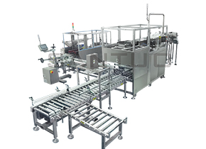 袋裝產(chǎn)品自動裝箱系統(tǒng)